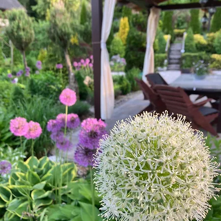 Апартаменты Karin Huty