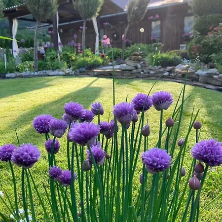 Karin Апартаменты *