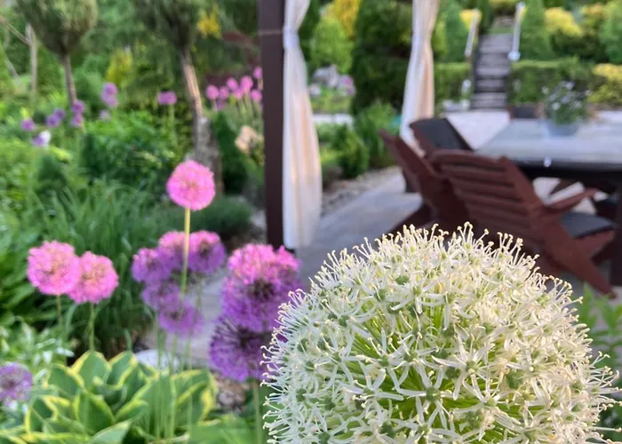 Apartment Karin Huty