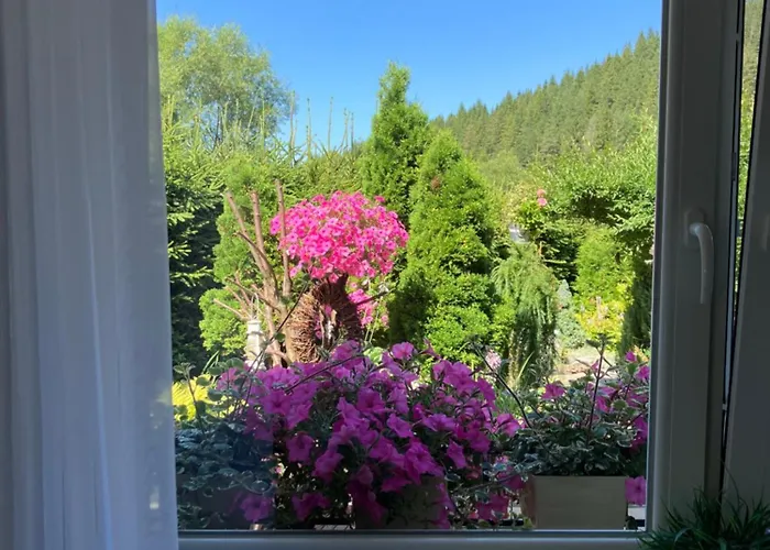 Apartment Karin Huty